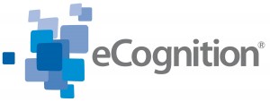 eCognition